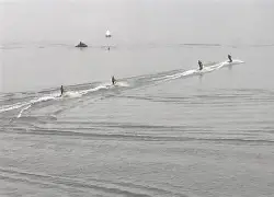 冲浪常规赛掀起高潮，辽东白虎队强势反弹姑苏天狼队，高压逼抢奏功——
